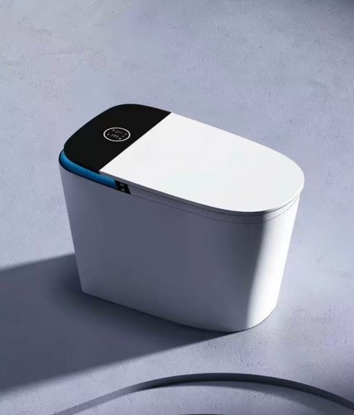 Smart Toilet